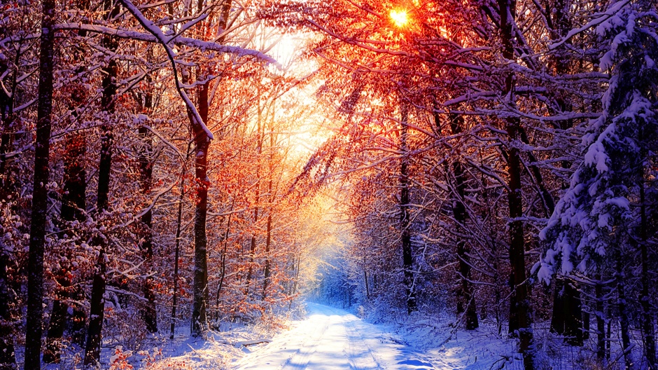winter III 2560x1440 HDTV Amazing Landscape Photographies of Sven Müller