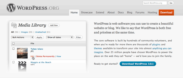 download-wordpress